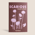 Scabious 'Black Knight' Seeds - Sprouts of Bristol