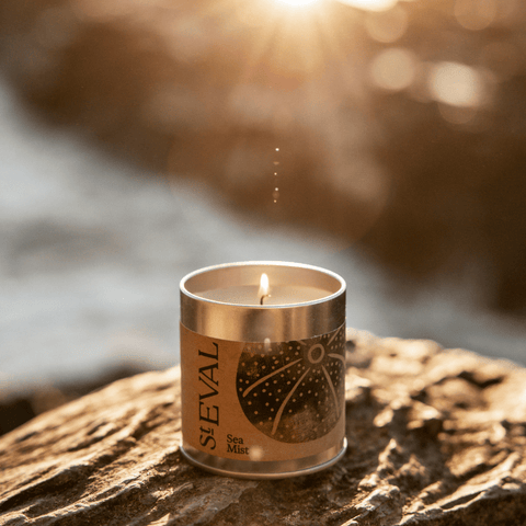 Sea Mist Scented Tin Candle - Sprouts of Bristol