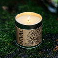 Sea Moss & Driftwood Scented Tin Candle - Sprouts of Bristol
