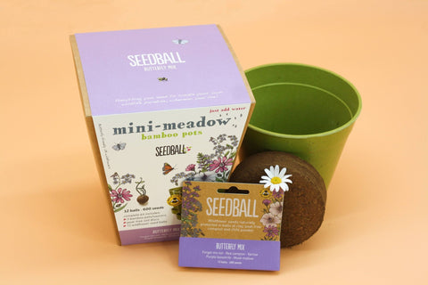 Seedball Meadow Pots - Butterfly Mix - Sprouts of Bristol