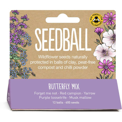 Seedball Meadow Pots - Butterfly Mix - Sprouts of Bristol