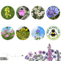 Seedball Meadow Pots - Garden Meadow - Sprouts of Bristol