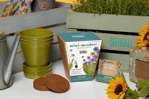 Seedball Meadow Pots - Garden Meadow - Sprouts of Bristol
