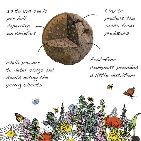 Shade Mix - Wildflower Grab Bag - Sprouts of Bristol