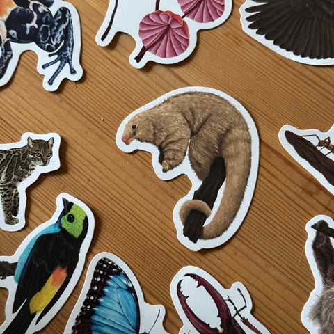 Silky Anteater Amazon Wildlife Vinyl Sticker [Beneath the Canopy RHS Collab] - Sprouts of Bristol