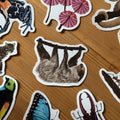 Sloth Wildlife Vinyl Sticker [Beneath the Canopy RHS Collab] - Sprouts of Bristol