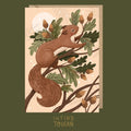 Squirrel Christmas Greetings Card - Sprouts of Bristol