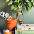 Stag Plant Pot Companions - Sprouts of Bristol