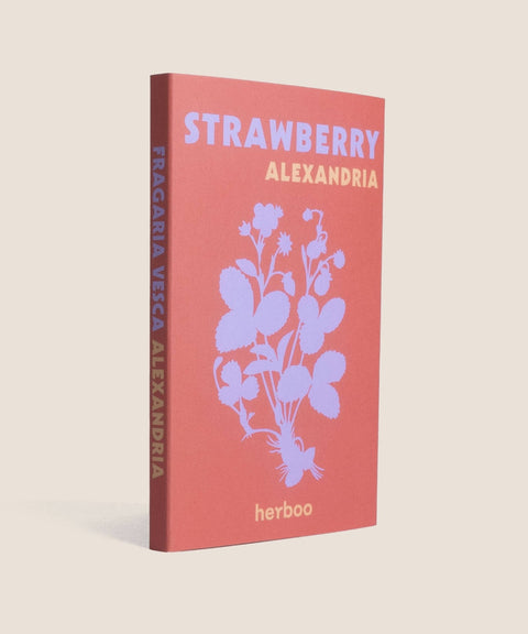 Strawberry 'Alexandria' Seeds - Sprouts of Bristol