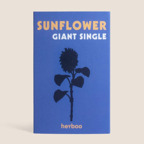 Sunflower 'Giant Single' Seeds - Sprouts of Bristol