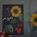 Sunflower Plot Greetings Card - Sprouts of Bristol