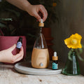 Sweet Dreams Essential Oil Diffuser Blend - Sprouts of Bristol