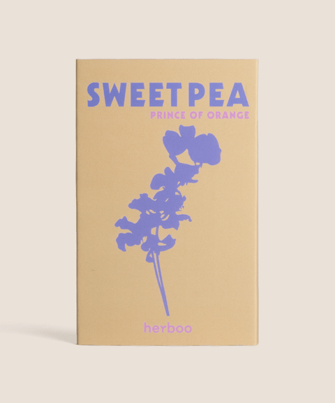 Sweet Pea 'Prince of Orange' Seeds - Sprouts of Bristol