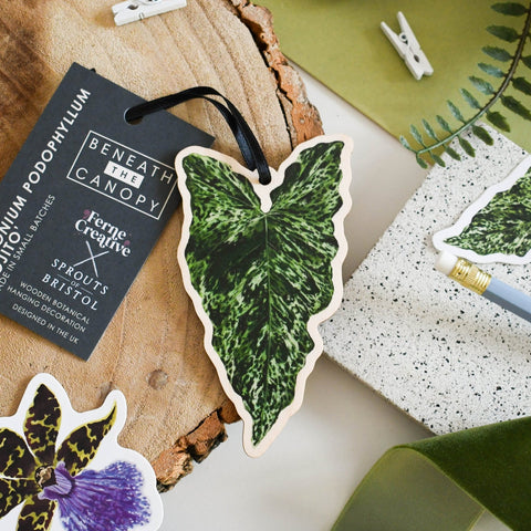 Syngonium ‘Mojito’ Wooden Decoration [Beneath the Canopy RHS Collab] - Sprouts of Bristol