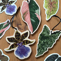 Syngonium ‘Mojito’Wooden Decoration [Beneath the Canopy RHS Collab] - Sprouts of Bristol