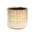 Tarah Textured Ivory White Glazed Planter - Sprouts of Bristol