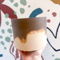 The Linnaeus’s Two - Toed Sloth Jesmonite Pot [Beneath the Canopy RHS Collab] - Sprouts of Bristol