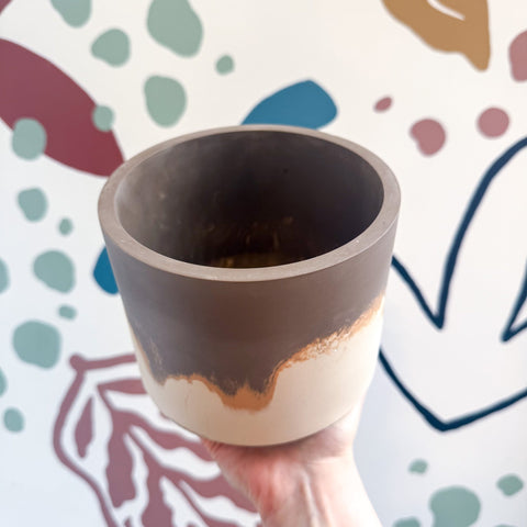 The Linnaeus’s Two - Toed Sloth Jesmonite Pot [Beneath the Canopy RHS Collab] - Sprouts of Bristol
