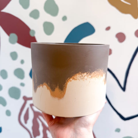 The Linnaeus’s Two - Toed Sloth Jesmonite Pot [Beneath the Canopy RHS Collab] - Sprouts of Bristol