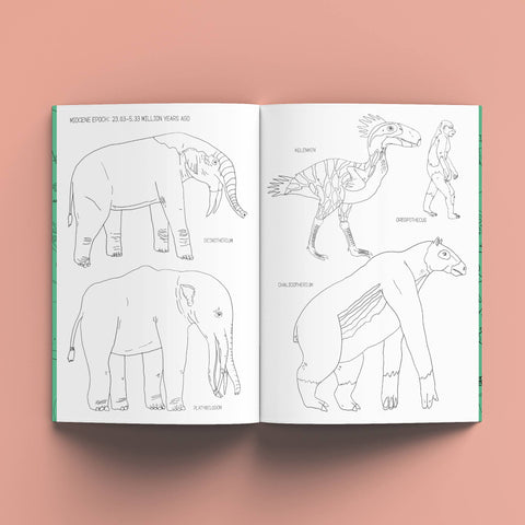 The Nature History Colouring Book - Sprouts of Bristol