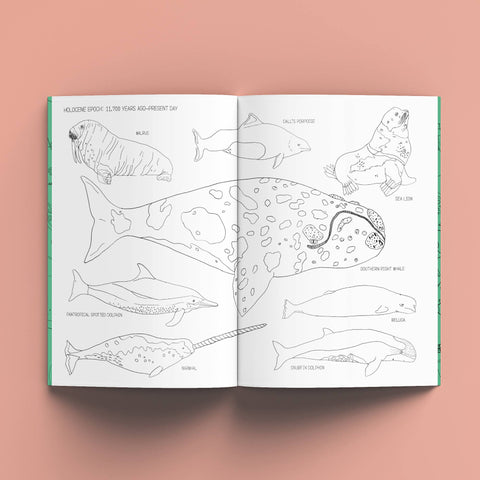 The Nature History Colouring Book - Sprouts of Bristol