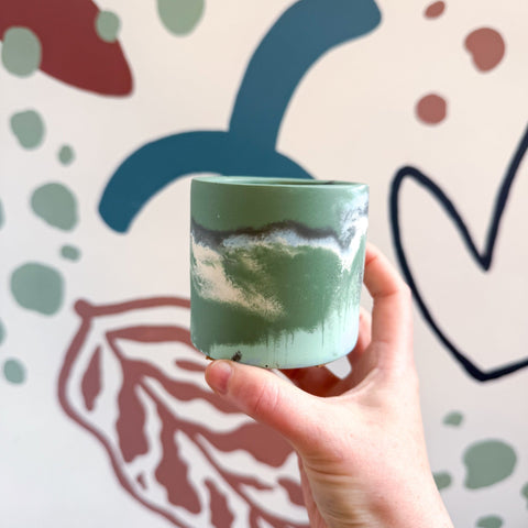 The Orchid Bee Jesmonite Mini Pot [Beneath the Canopy RHS Collab] - Sprouts of Bristol