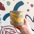 The Yellow - Footed Tortoise Jesmonite Mini Pot [Beneath the Canopy RHS Collab] - Sprouts of Bristol