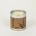 Thyme & Mint Scented Tin Candle - Sprouts of Bristol