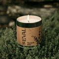 Thyme & Mint Scented Tin Candle - Sprouts of Bristol