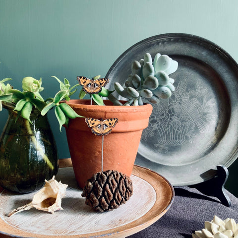 Tortoiseshell Butterfly Plant Pot Companions - Sprouts of Bristol