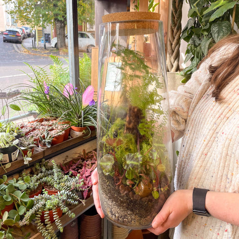 Tower Vase - Bioactive Terrarium - Sprouts of Bristol