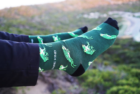 Tree Frog Bamboo Socks - Sprouts of Bristol