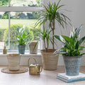 Vallo Reactive Glaze Tapered Planter in Blue - Sprouts of Bristol