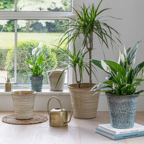 Vallo Reactive Glaze Tapered Planter in Cream - Sprouts of Bristol