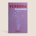 Verbena Bonariensis Seeds - Sprouts of Bristol