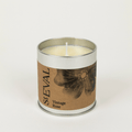 Vintage Rose Scented Tin Candle - Sprouts of Bristol