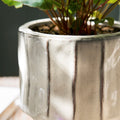 Wheatley Pot with Feet - Sprouts of Bristol