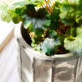 Wheatley Pot with Feet - Sprouts of Bristol