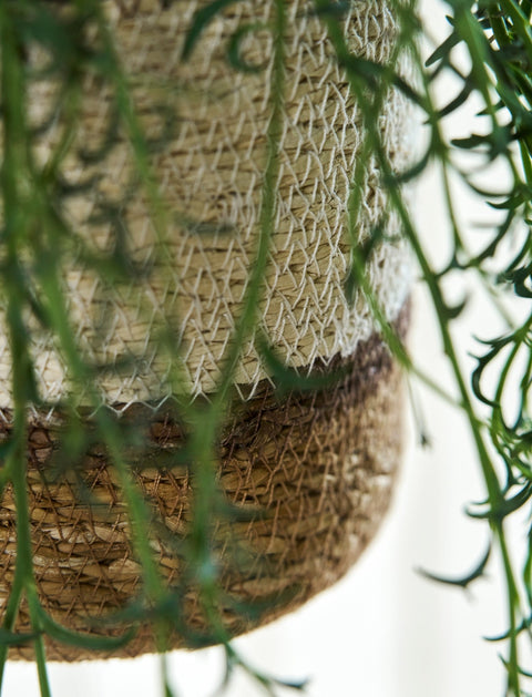 Woven Hanging Plant Pot – Cream & Brown Multi Stripe - Sprouts of Bristol
