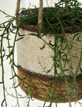 Woven Hanging Plant Pot – Cream & Brown Multi Stripe - Sprouts of Bristol