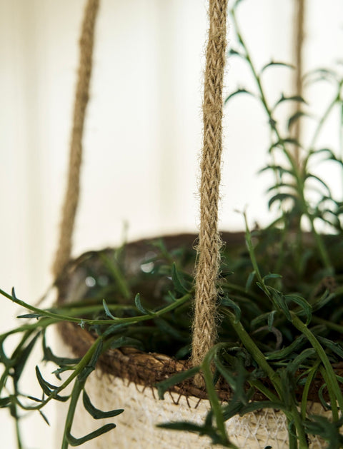 Woven Hanging Plant Pot – Cream & Brown Multi Stripe - Sprouts of Bristol