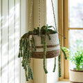 Woven Hanging Plant Pot – Cream Striped - Sprouts of Bristol
