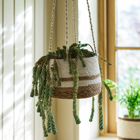 Woven Hanging Plant Pot – Cream Striped - Sprouts of Bristol