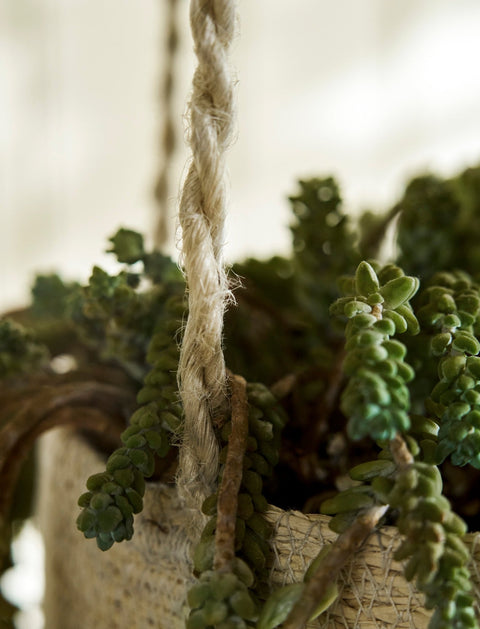 Woven Hanging Plant Pot – Cream Striped - Sprouts of Bristol