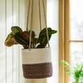 Woven Hanging Plant Pot – Half Stripe in Antique Brown - Sprouts of Bristol