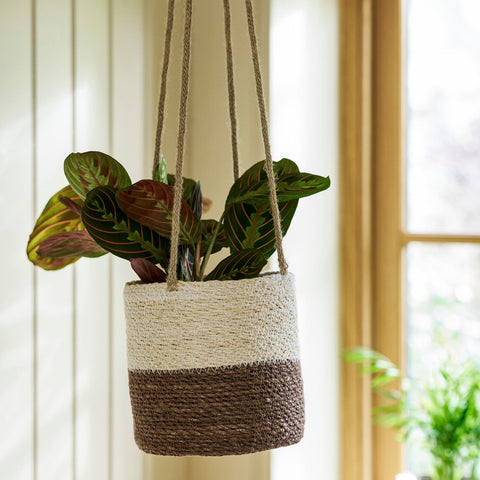 Woven Hanging Plant Pot – Half Stripe in Antique Brown - Sprouts of Bristol
