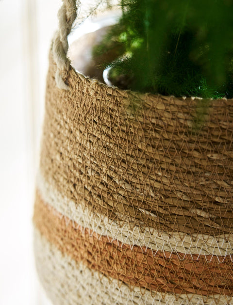 Woven Hanging Plant Pot – Orange & Cream Stripe - Sprouts of Bristol