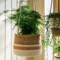 Woven Hanging Plant Pot – Orange & Cream Stripe - Sprouts of Bristol