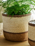 Woven Plant Pots - Multi Stripe Jute Seagrass - Sprouts of Bristol