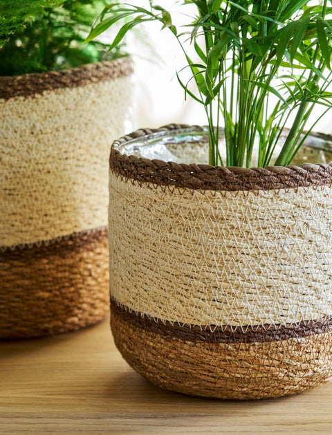 Woven Plant Pots - Multi Stripe Jute Seagrass - Sprouts of Bristol